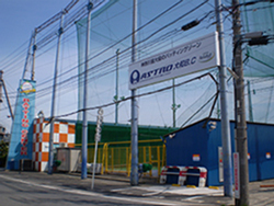 408150977